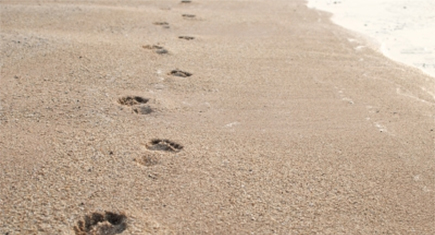 footprints_in_sand_by_vorakorn_BLOG Photo of footprints in the sand